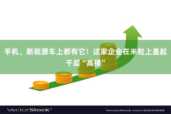 手机、新能源车上都有它！这家企业在米粒上盖起千层“高楼”