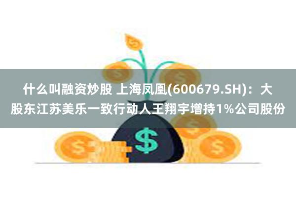 什么叫融资炒股 上海凤凰(600679.SH)：大股东江苏美乐一致行动人王翔宇增持1%公司股份