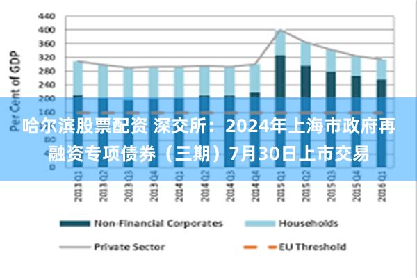 哈尔滨股票配资 深交所：2024年上海市政府再融资专项债券（三期）7月30日上市交易