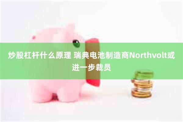 炒股杠杆什么原理 瑞典电池制造商Northvolt或进一步裁员