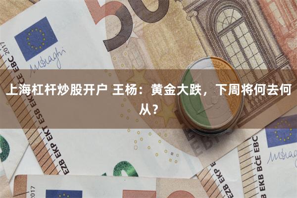 上海杠杆炒股开户 王杨：黄金大跌，下周将何去何从？