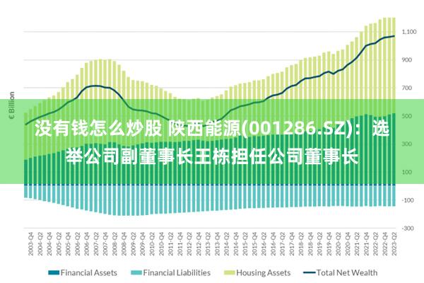 没有钱怎么炒股 陕西能源(001286.SZ)：选举公司副董事长王栋担任公司董事长