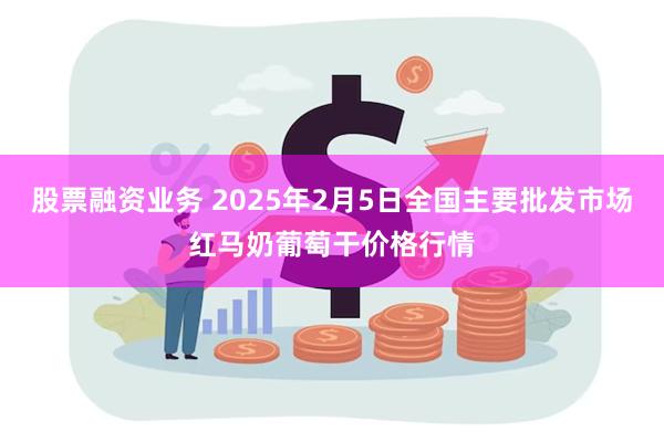 股票融资业务 2025年2月5日全国主要批发市场红马奶葡萄干价格行情