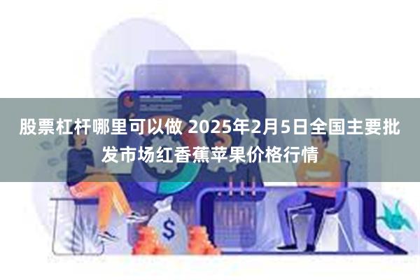 股票杠杆哪里可以做 2025年2月5日全国主要批发市场红香蕉苹果价格行情